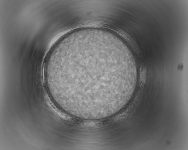 X0000114541078200911301156