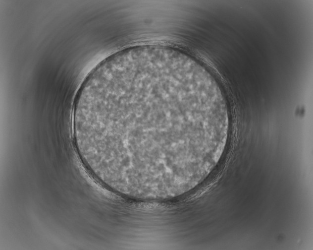 X0000114541079200911301156