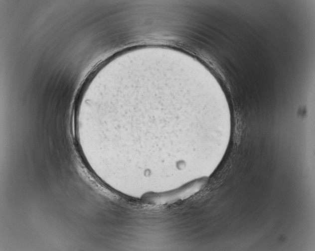 X0000114541080200911301156