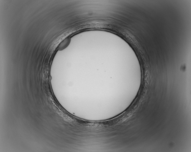 X0000114541081200911301156