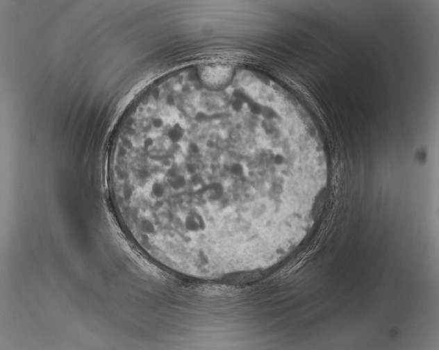 X0000114541083200911301156