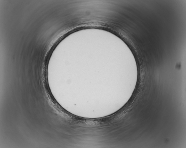 X0000114541085200911301156