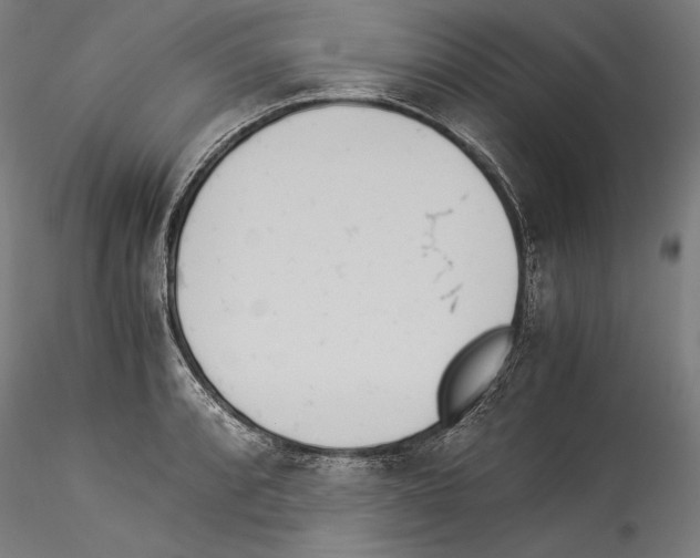 X0000114541088200911301156