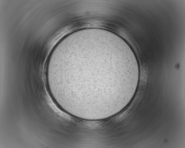 X0000114541090200911301156