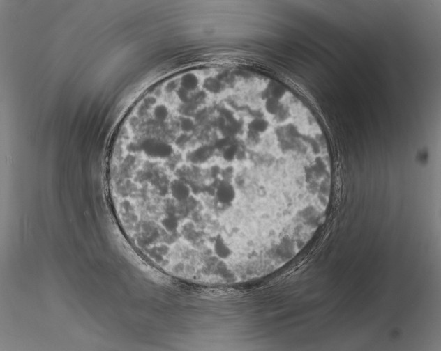 X0000114541091200911301156