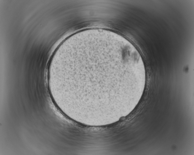 X0000114541092200911301156