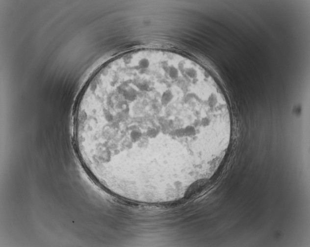 X0000114541095200911301156