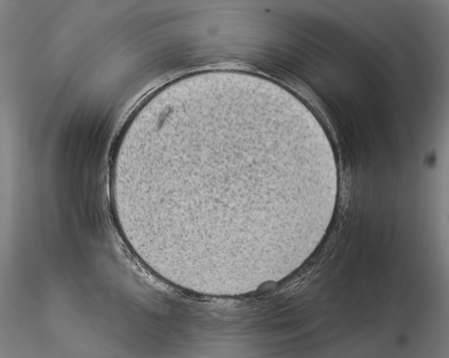 X0000114541096200911301156