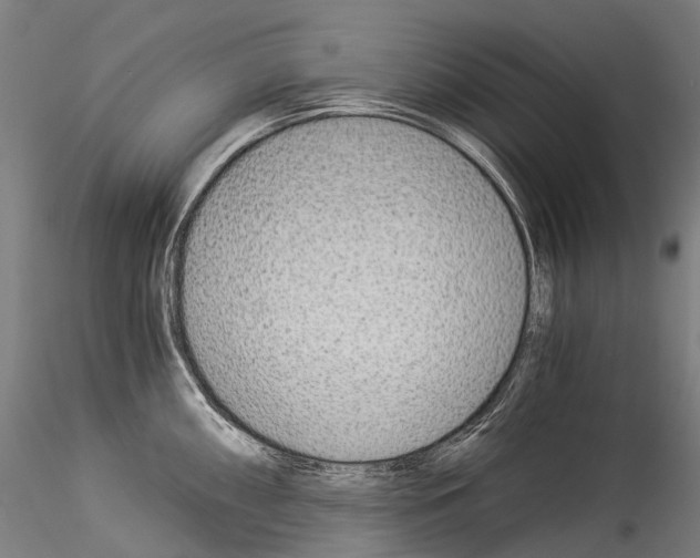 X0000114541098200911301156