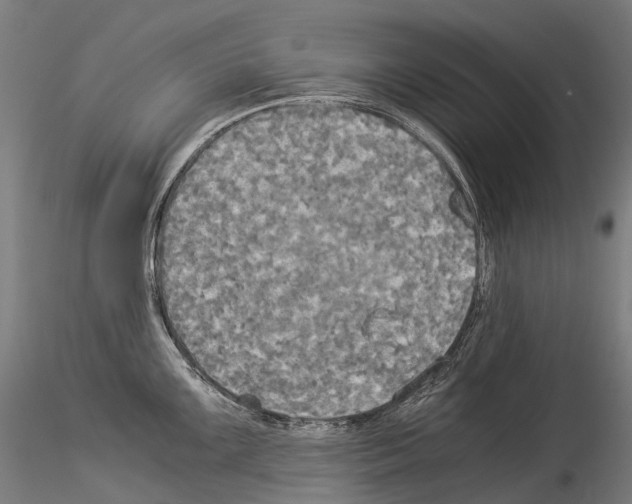 X0000114541099200911301156