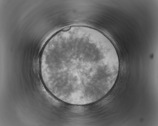 X0000114541100200911301156