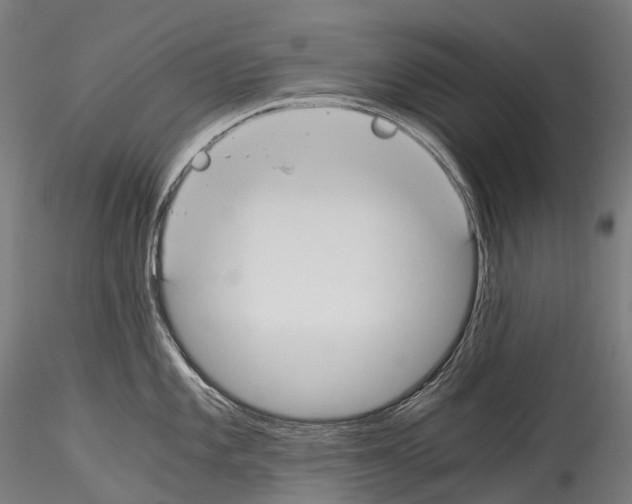 X0000114541101200911301156