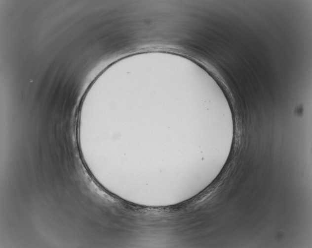 X0000114541102200911301156