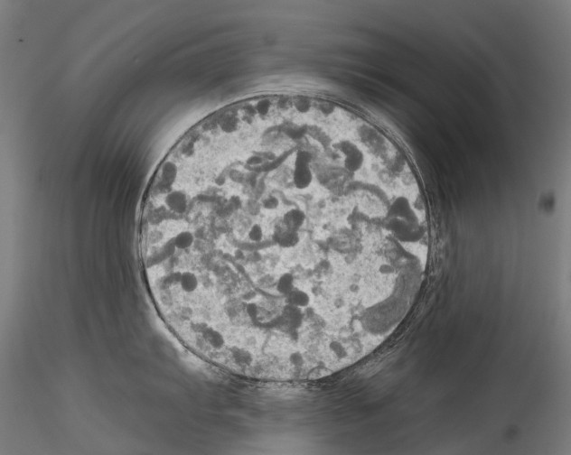 X0000114541103200911301156