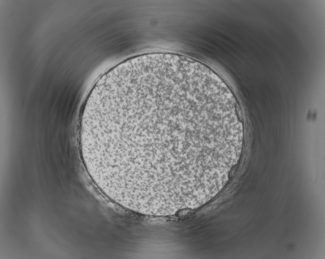 X0000114541104200911301156