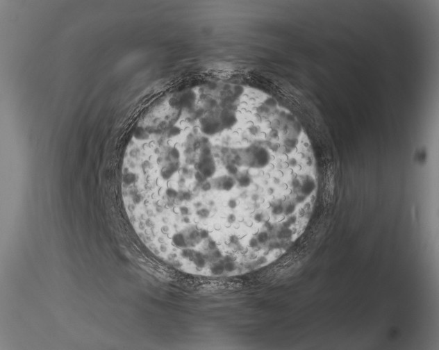 X0000114541105200911301155