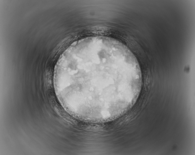 X0000114541106200911301155