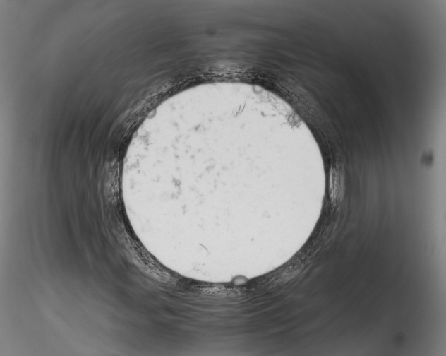 X0000114541107200911301155