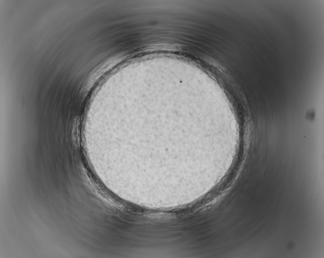 X0000114541113200911301155