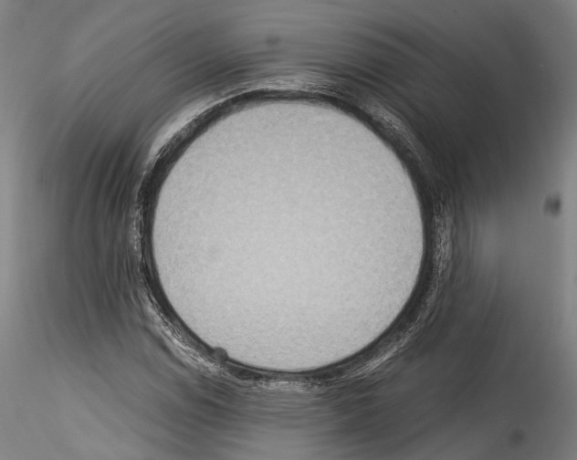 X0000114541114200911301155