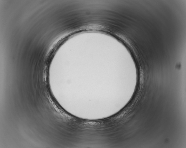 X0000114541115200911301155