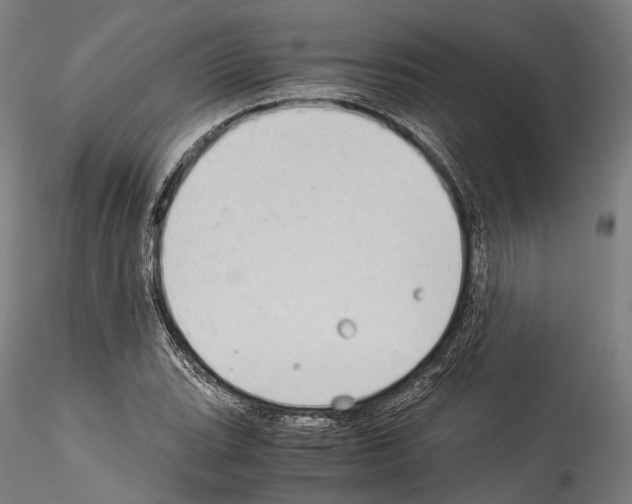 X0000114541119200911301155