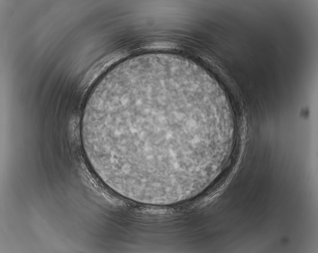 X0000114541121200911301155