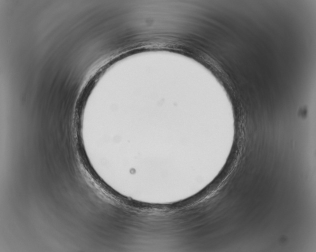 X0000114541122200911301155