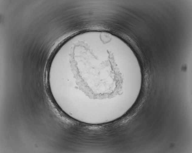 X0000114541125200911301155