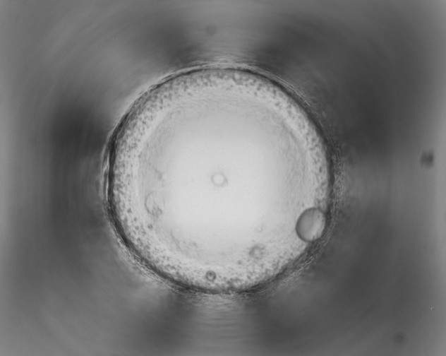 X0000114541126200911301155