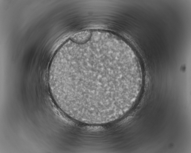 X0000114541129200911301155