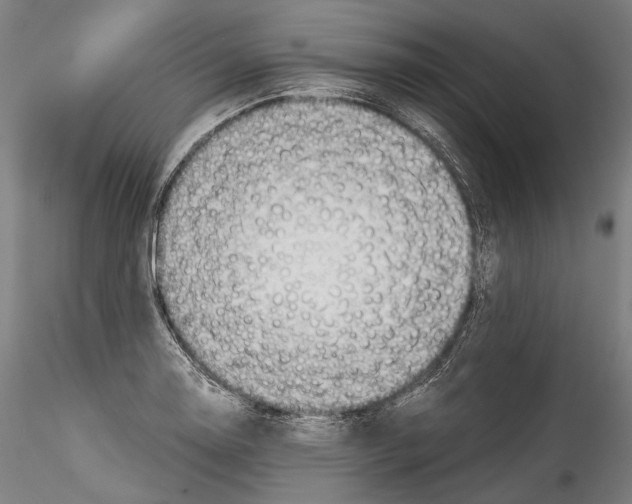 X0000114541130200911301155