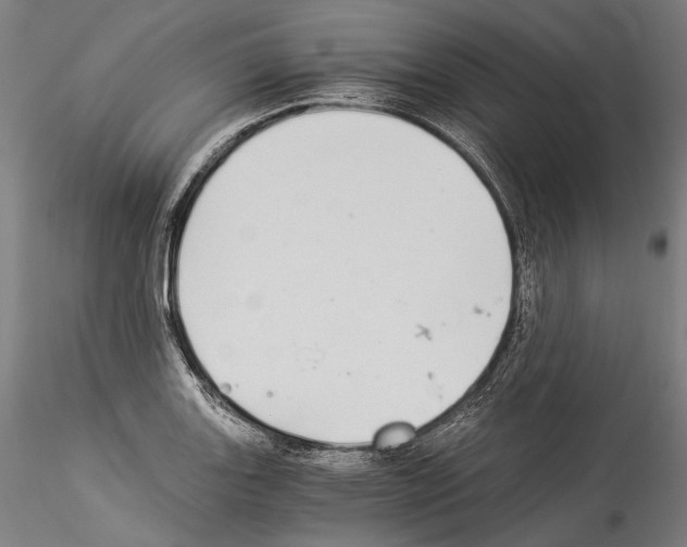 X0000114541131200911301155