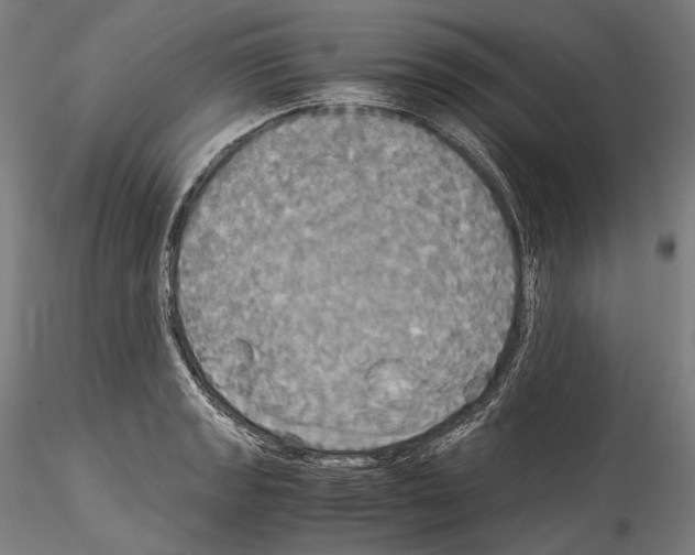 X0000114541133200911301155