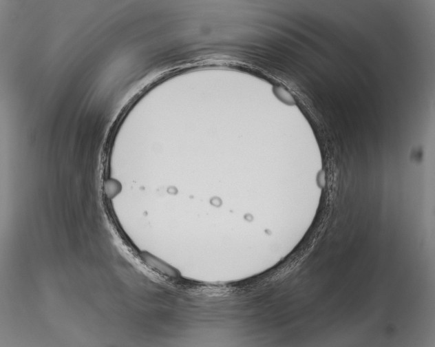 X0000114541134200911301155