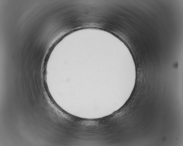 X0000114541135200911301155