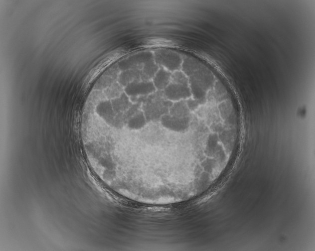 X0000114541137200911301155