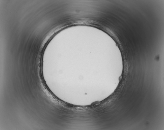 X0000114541138200911301155