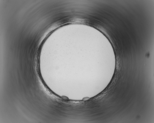 X0000114541139200911301155