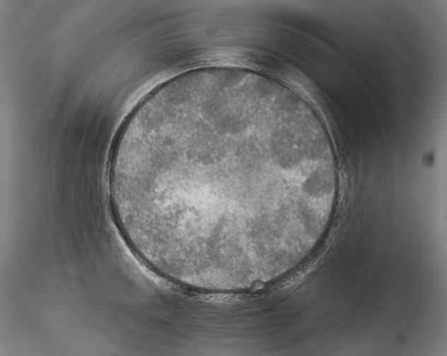 X0000114541141200911301155