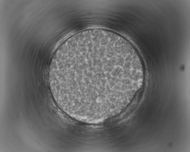 X0000114541145200911301155