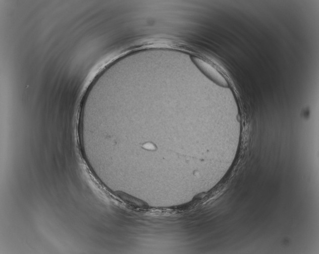 X0000114541146200911301155