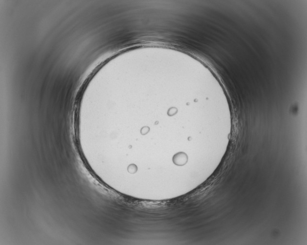 X0000114541147200911301155