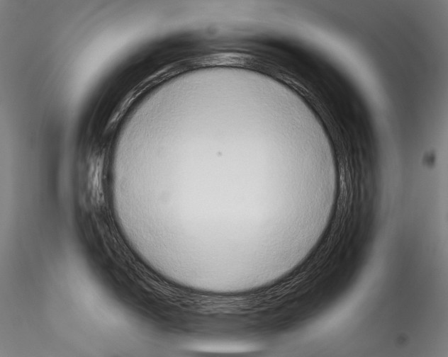 X0000114541150200911301155