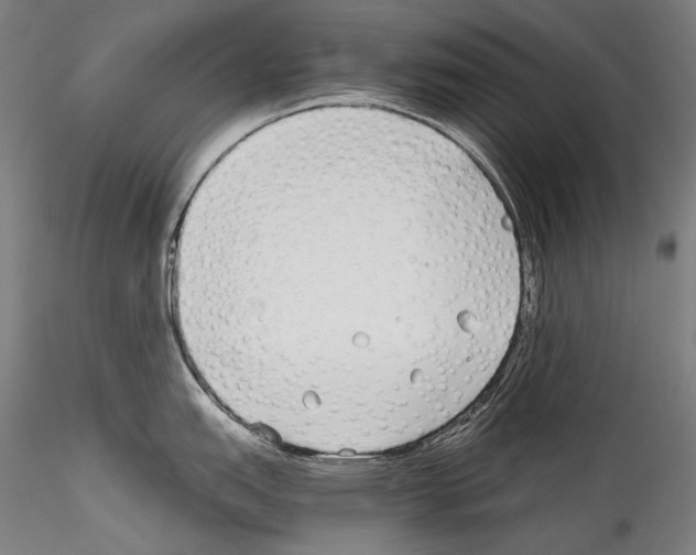 X0000114541151200911301156