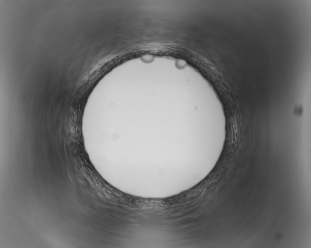 X0000114541158200911301155