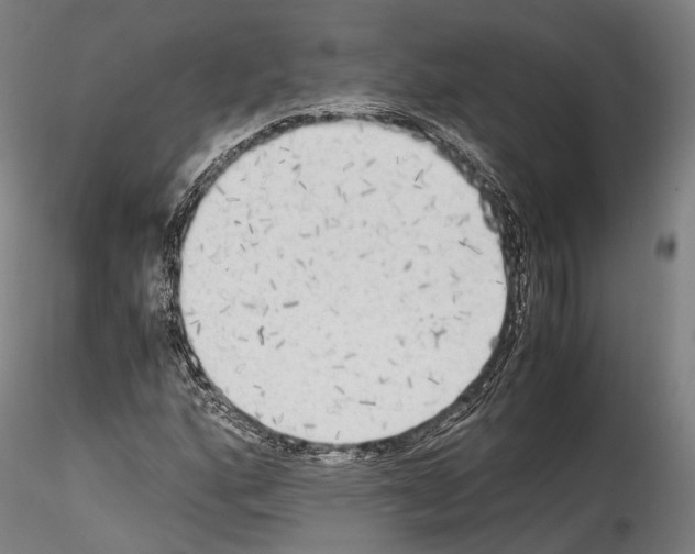 X0000114541160200911301155