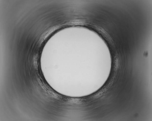 X0000114541162200911301155