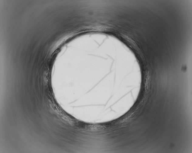 X0000114541163200911301155