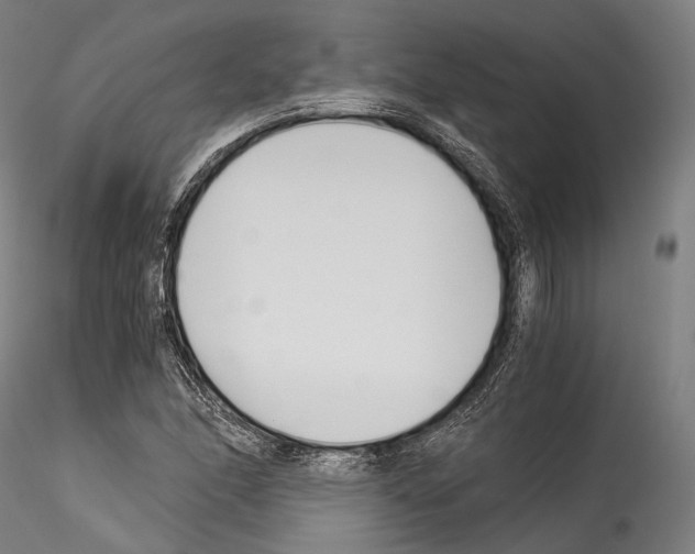 X0000114541166200911301155